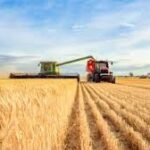 Maquinaria agrícola: recuperación parcial y oportunidades perdidas