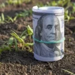 La Federación de Acopiadores respalda la reducción de las tasas de retenciones a las exportaciones