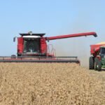 La actividad de la cadena agropecuaria alcanzó un récord histórico en noviembre