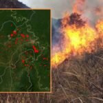 IA y prevención de incendios: tecnología argentina para reducir el impacto ambiental y productivo del fuego