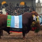 La genética cordobesa hizo historia en Palermo y reafirmó su liderazgo nacional