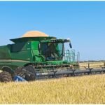 La producción arrocera argentina retrocedió 14 % en la campaña 2025/26