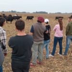 El impiuessto a las ganancias asfixia al pequeño productor y acelera su desaparación